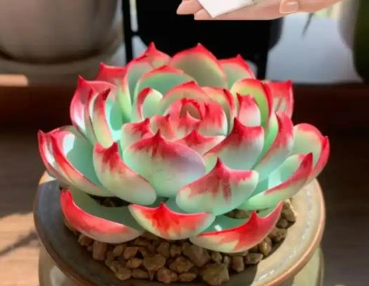 �����T�����ò��ÓQˮ������ˮ�T�����������