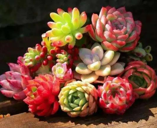 �����m��ƴ�P߀�Ǫ��B(y��ng)������Q����߀���Æ�