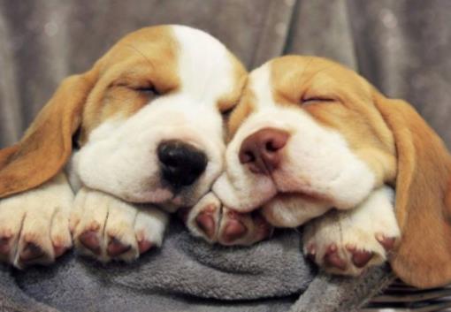 ����ҧ��һ��Ҫȥ��ᘆ᣿������˯�����˵�ꖚ��