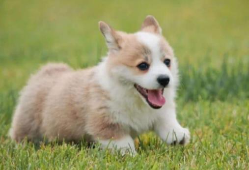 ���섂�M�µĹ�������ϴ��᣿С�����ٕr�g��xһ��