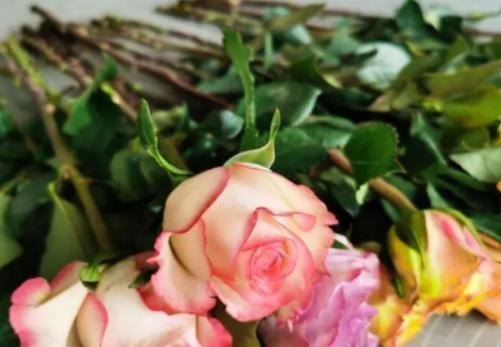 ��Щ�����ԓ�؁��B��W���u�Ļ���ʲô��ô�໨��