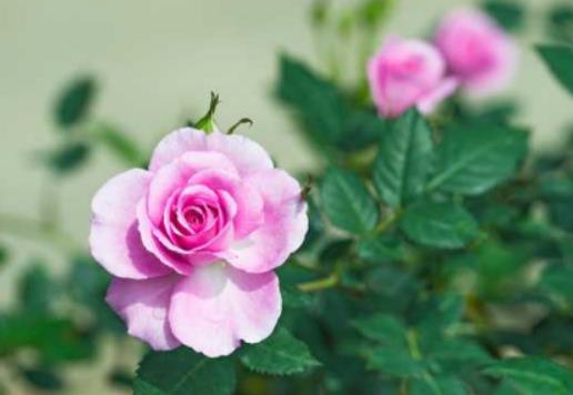 �Wُ�r��������ѻ��ܷŶ�����W���I���r����ȥ�~��߀�����ѻ�