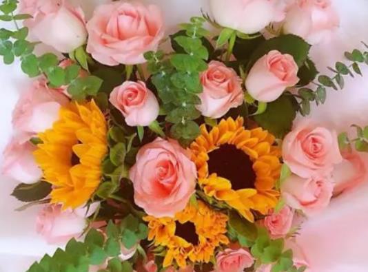 �Wُ�r���m���ķN��ͨ�\ݔ��ʽ���Wُ�r���ѻ��ò���ժ����