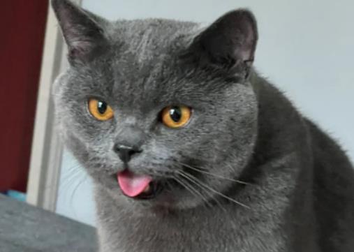 ؈���Ԗ|��������ô�k��؈���ʲô������˯�X(ju��)�ĕr(sh��)���