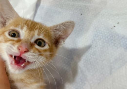 �B؈��ô���ٻ��죿20��С؈һ�D�ȶ�����