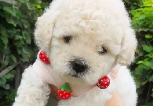 ���저����ʲô��������������������