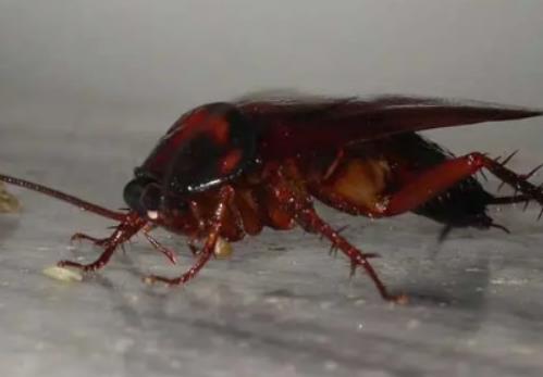 ����η������Ã�ˮ�᣿����ۿ��Ԛ�������