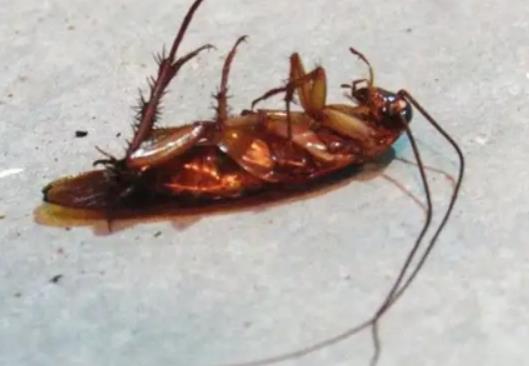 ���������ô��s��룿�N�������������ô����