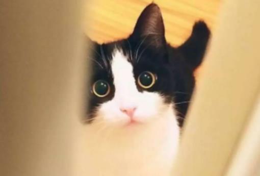 ��؈ҧ��Ҫ��Ҫ��ֹ��؈���ӝ񝙽���߀�Ǹ���