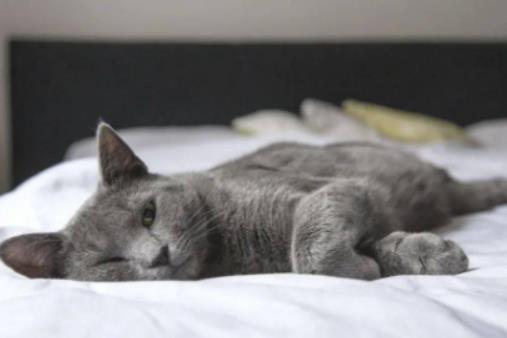 С؈��β�͕�(hu��)�L(zh��ng)�L(zh��ng)�᣿؈ɰ�����w�x(ch��ng)�Ǹ�؈ɰ���P(gu��n)ϵ��