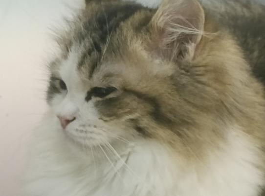 ؈����������������؈����Գ��������������̆�