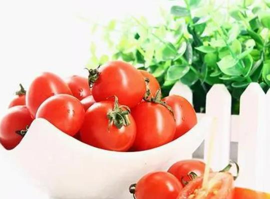 ʥŮ���ű�����Ա����ã�ʥŮ���Ĺ�Ч����