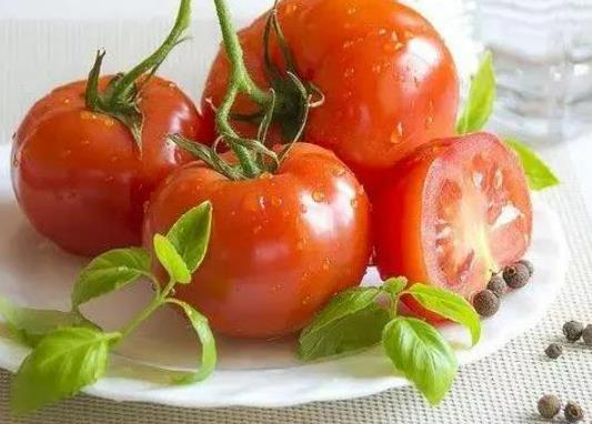 �½����˿��Գ�ʥŮ���᣿ʥŮ����ʲôե֭�ú�