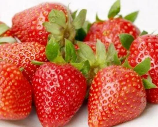 ��ݮ�]ϴ�ܳԆ᣿��ݮ�ű����ܷŶ��