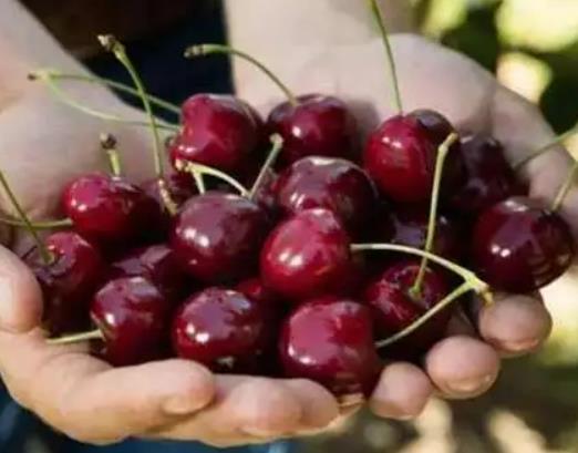 ܇����һ��Զ��ٺ��m��܇����������߀�РI�B(y��ng)��