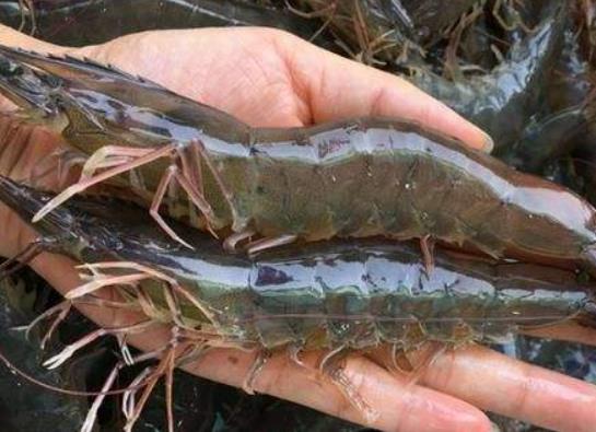 �r��׃�S��߀�ܳԆ᣿�������r������ˮ߀�ǟ�ˮ