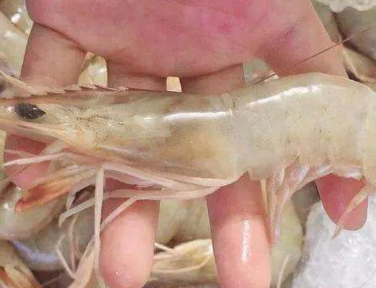 �r��׃�S��߀�ܳԆ����������r������ˮ߀�ǟ�ˮ