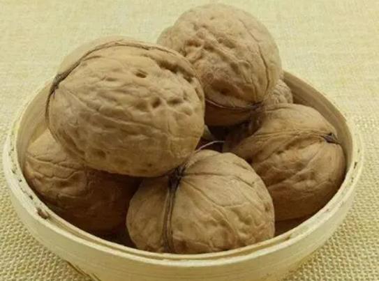 �����L(zh��ng)ë��߀�ܳԆ�������Ƥ��ˮ�Ĺ�Ч�c����