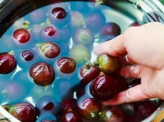 ϴ�^������Ƥ�ܳԆ᣿������ôϴ�ŸɃ���