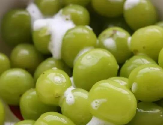 ϴ�^������Ƥ�ܳԆ᣿������ôϴ�ŸɃ���