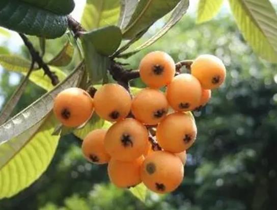 �����˸���ʲô�������F偣����˟����ǵĽ�����ʲô