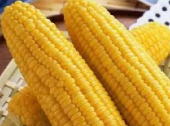 ��������к��᣿����������D�������׆�