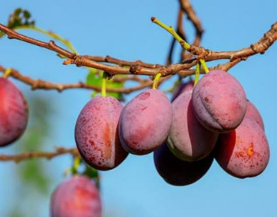 ��÷̫���(hu��)����(hu��)�І��}����÷��ô�Ժó��РI(y��ng)�B(y��ng)��