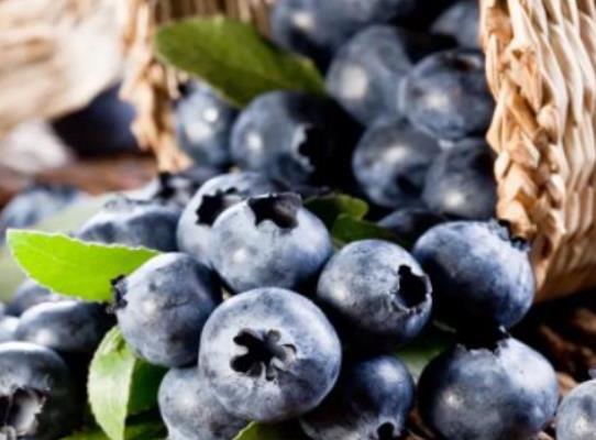 �{ݮ��ô�Ԍ��۾��ã��{ݮ�ǲ��ǲ���ϴ