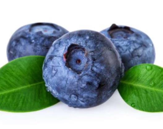 �{ݮ��ô�ԠI�B�rֵ������{ݮ14mm������