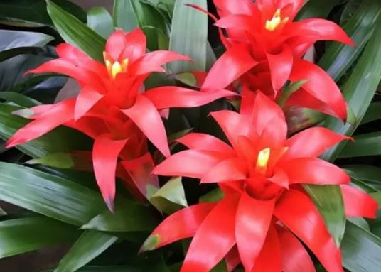 ���\���^��ϲ�߀��ϲꖣ����\���^���Խ�����ˮ��