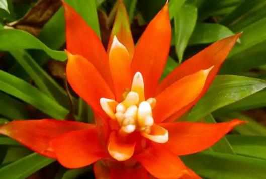 ���\���^���m�Ϸ����P�����B�᣿���\���^��ô��ˮ��