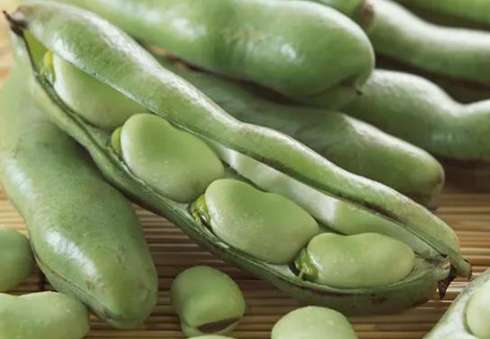 �Q�������������B(y��ng)�������Q��������Ҫ�l(f��)�Ͷ��