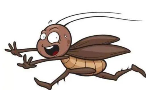 ����(hu��)����������� ����������ϕ�(hu��)��ô��