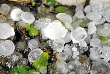 ¶��ͣ܇�±�����ô�k��(hu��)��܇�҉Ć� ��܇�ܳ��ܶ��ı���